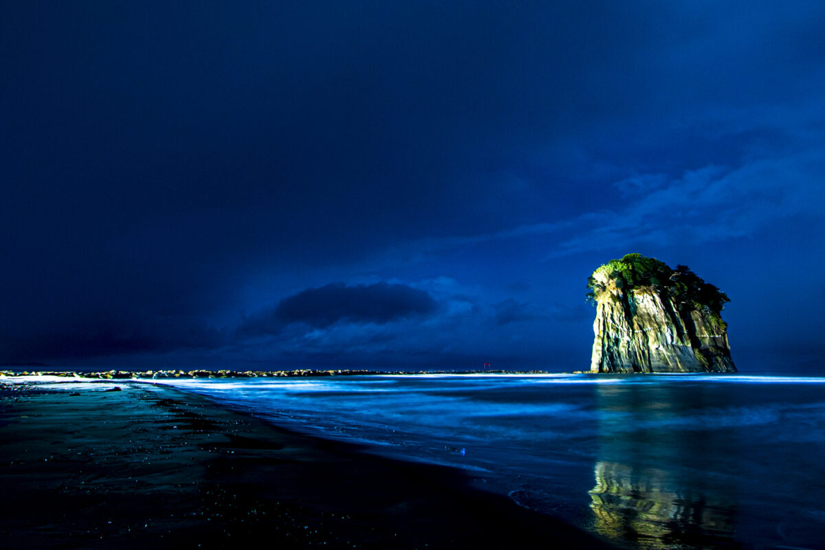 画像に alt 属性が指定されていません。ファイル名: a4427ad96e28f098af279e6e0d0e85e8-1200x800.jpg