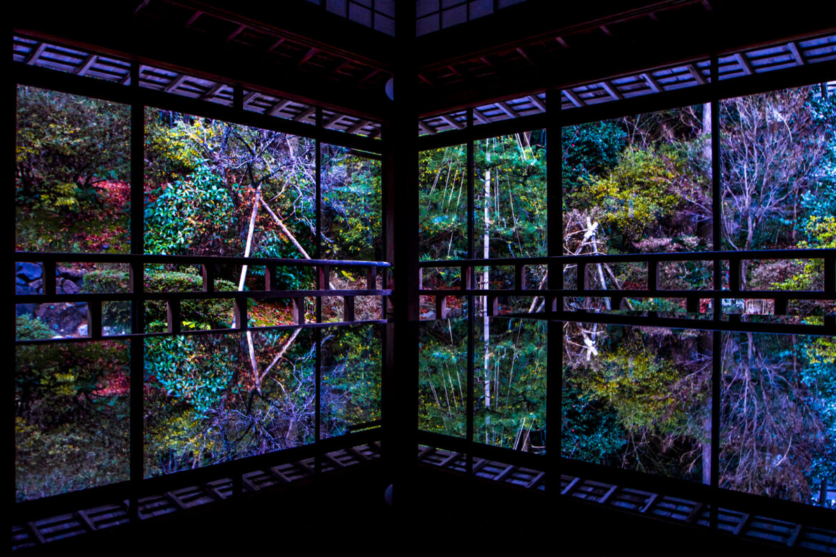 画像に alt 属性が指定されていません。ファイル名: b89c22d0618961338cc52a7fef1d6dc5-1200x800.jpg